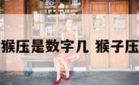 把猴压是数字几 猴子压战