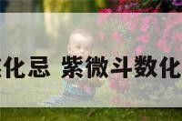 紫微六煞化忌 紫微斗数化解六煞星