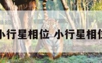 爱情的小行星相位 小行星相位容许度
