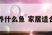 家居适宜养什么鱼 家居适合养什么鱼