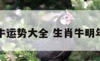 明年生肖牛运势大全 生肖牛明年运势查询