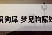 梦境狗屎 梦见狗屎好吗