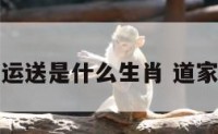 道开运送是什么生肖 道家开运
