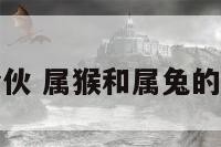 属猴兔合伙 属猴和属兔的合作事业