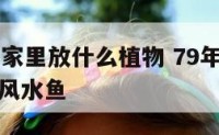 79羊女在家里放什么植物 79年属羊女适合养几条风水鱼