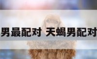 天蝎男最配对 天蝎男配对指数