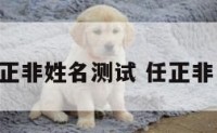 任正非姓名测试 任正非 姓