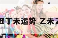 乙未丁丑丁未运势 乙未乙丑丁亥