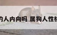 属狗的人内向吗 属狗人性格特征