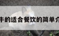属牛的适合餐饮的简单介绍