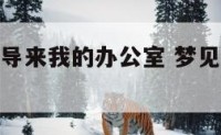 做梦梦到领导来我的办公室 梦见领导突然来访