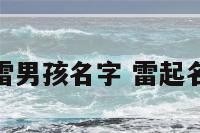 取名字雷男孩名字 雷起名字男孩