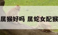 属蛇女配男属猴好吗 属蛇女配猴男是大吉吗