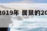 属鼠财运2019年 属鼠的2019年全年运势