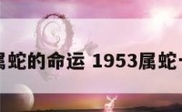 五一年属蛇的命运 1953属蛇一生命运