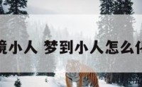 梦境小人 梦到小人怎么化解