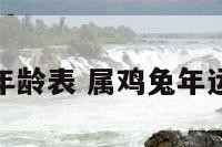 属鸡兔的年龄表 属鸡兔年运势及运程