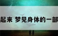 梦见身体托起来 梦见身体的一部分掉下来了