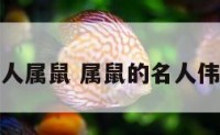 名人属鼠 属鼠的名人伟人