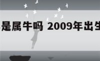 2009年是属牛吗 2009年出生的是属牛的吗