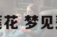 解梦画莲花 梦见莲花花瓣