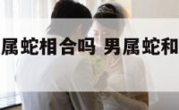 男属蛇和女属蛇相合吗 男属蛇和女属蛇的婚配好不好