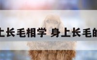 身体上长毛相学 身上长毛的好处