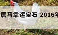 2o16年属马幸运宝石 2016年属马的财运