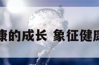 寓意字健康的成长 象征健康成长的字