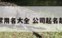 公司起名常用名大全 公司起名起什么名好