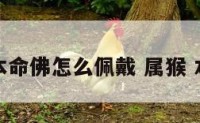 属猴本命佛怎么佩戴 属猴 本命佛