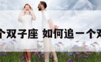 如何追一个双子座 如何追一个双子座女生