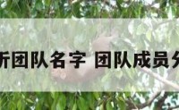 案例分析团队名字 团队成员分析案例