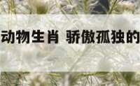 骄傲孤独的动物生肖 骄傲孤独的动物生肖是什么