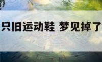 梦见掉了一只旧运动鞋 梦见掉了一只鞋子又找回来了