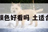 土胜什么颜色好看吗 土适合什么颜色