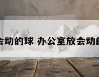 办公室放会动的球 办公室放会动的球叫什么