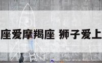 狮子座爱摩羯座 狮子爱上摩羯