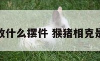 猴猪相害放什么摆件 猴猪相克是什么意思