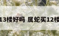 属蛇买13楼好吗 属蛇买12楼好不好