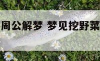 梦见挖野菜周公解梦 梦见挖野菜周公解梦原版
