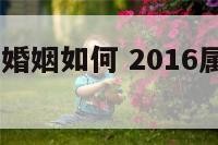2016属狗婚姻如何 2016属狗的命运怎么样