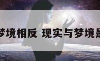 事实和梦境相反 现实与梦境是相反的