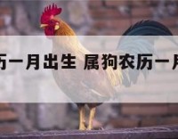 属狗的农历一月出生 属狗农历一月出生适合戴什么