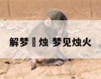 解梦焟烛 梦见烛火