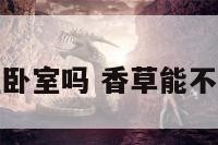 香草能放在卧室吗 香草能不能放在卧室