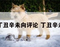 阳宅丁丑辛未向评论 丁丑辛未相冲