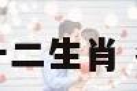 冬天中特十二生肖 冬天猜生肖