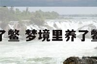 梦境里养了鳖 梦境里养了鳖什么意思