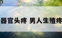 男人生殖器官头疼 男人生殖疼什么原因